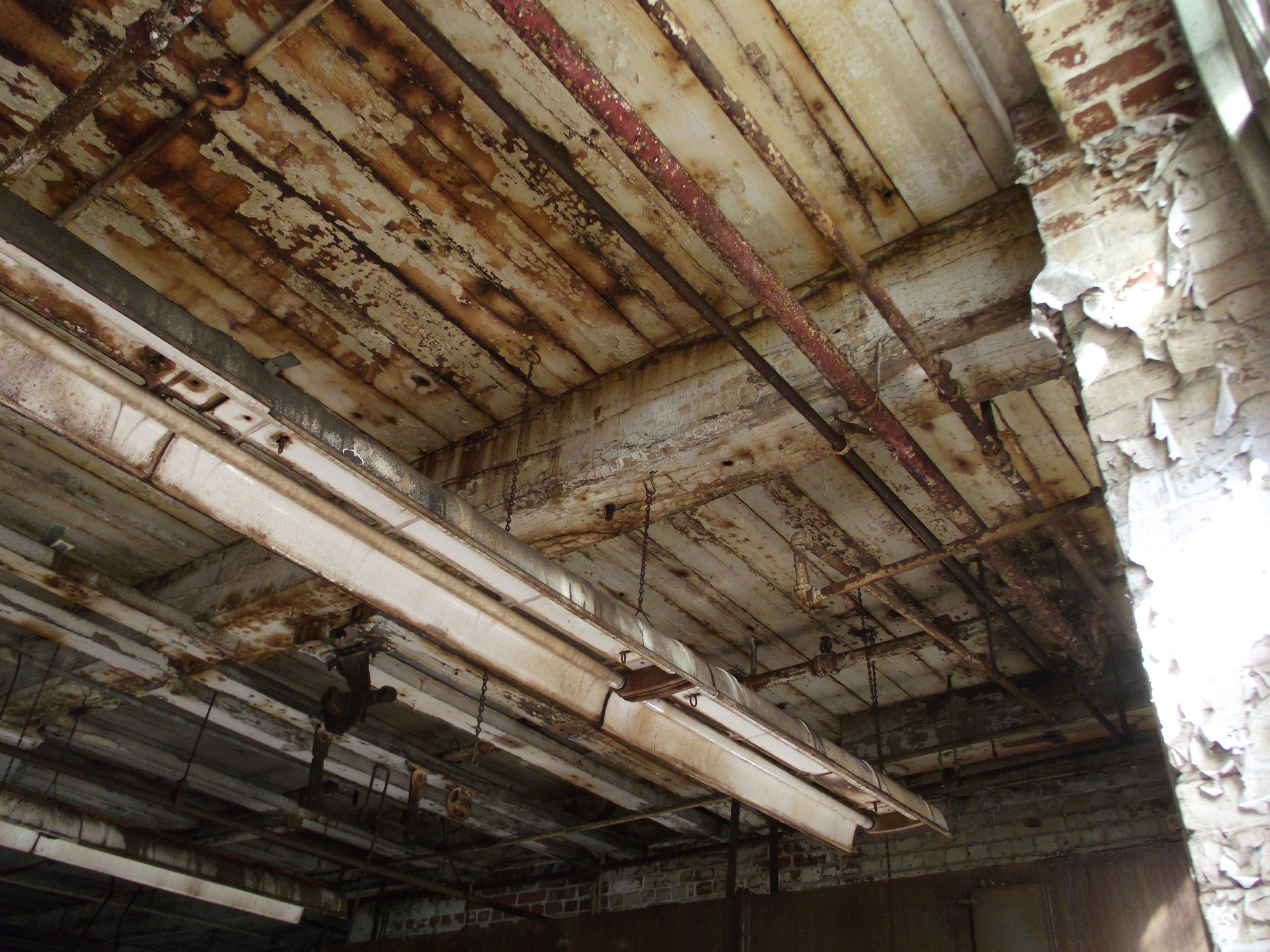 Gun Shot LPS - Image 4